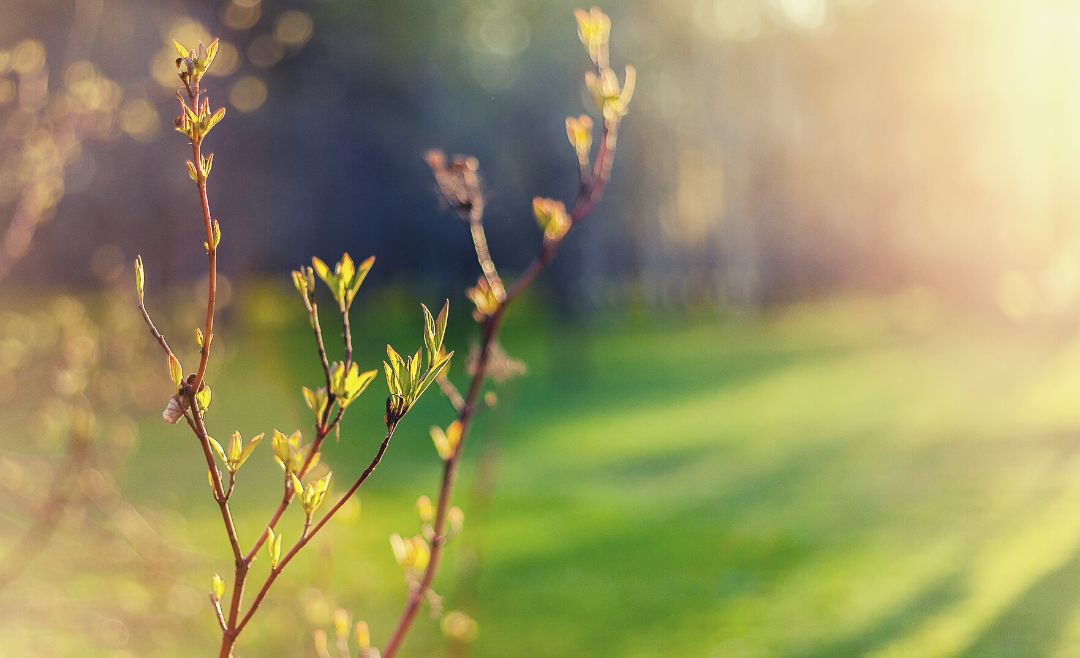 Spanish Public Holidays In May